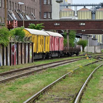Sonderzug der Eisenbahnfreunde Mannheim auf einer Ausflugsfahrt