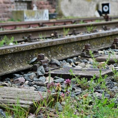 Eindrücke der Hafenrundfahrt im Mannheimer Hafen